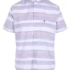 Blue Stripe Shirt