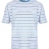 Dark Turquoise TSHIRT SJ FDR STRIPE