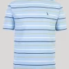 Blue Stripe Crew Neck T Shirt