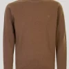Tan Lambswool Crew Neck Jumper
