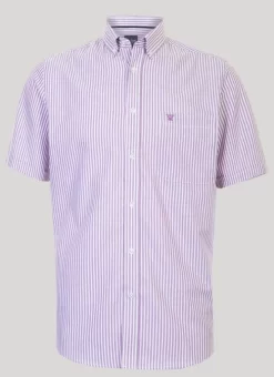 Short Sleeve Stripe Oxford Shirt