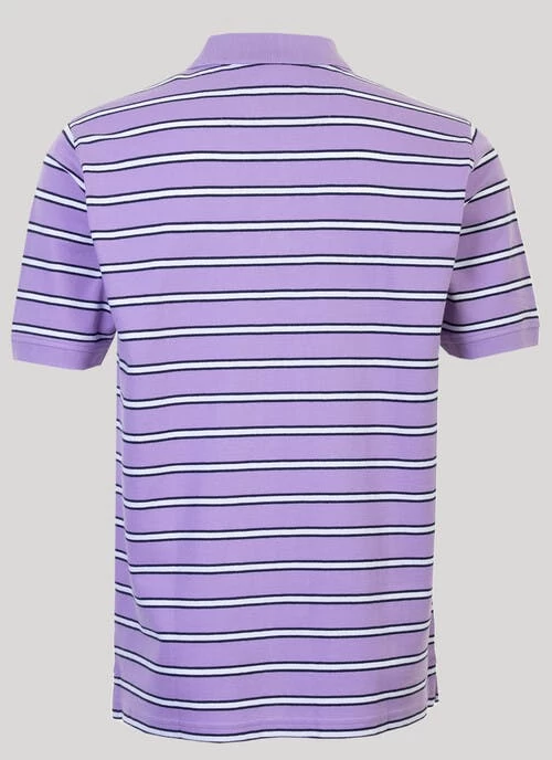 Stripped Polo Shirt - Image 2