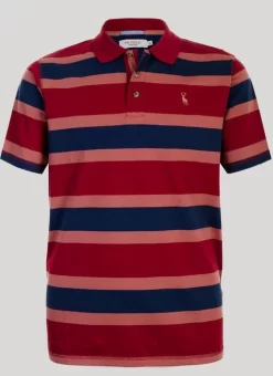 Burgundy Stripe Polo Shirt