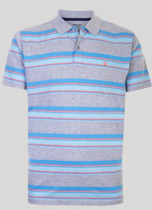 Engineered Stripe Polo Shirt