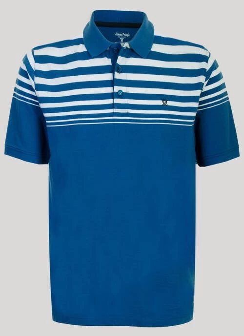 Gradient Stripe Polo Shirt - Image 2